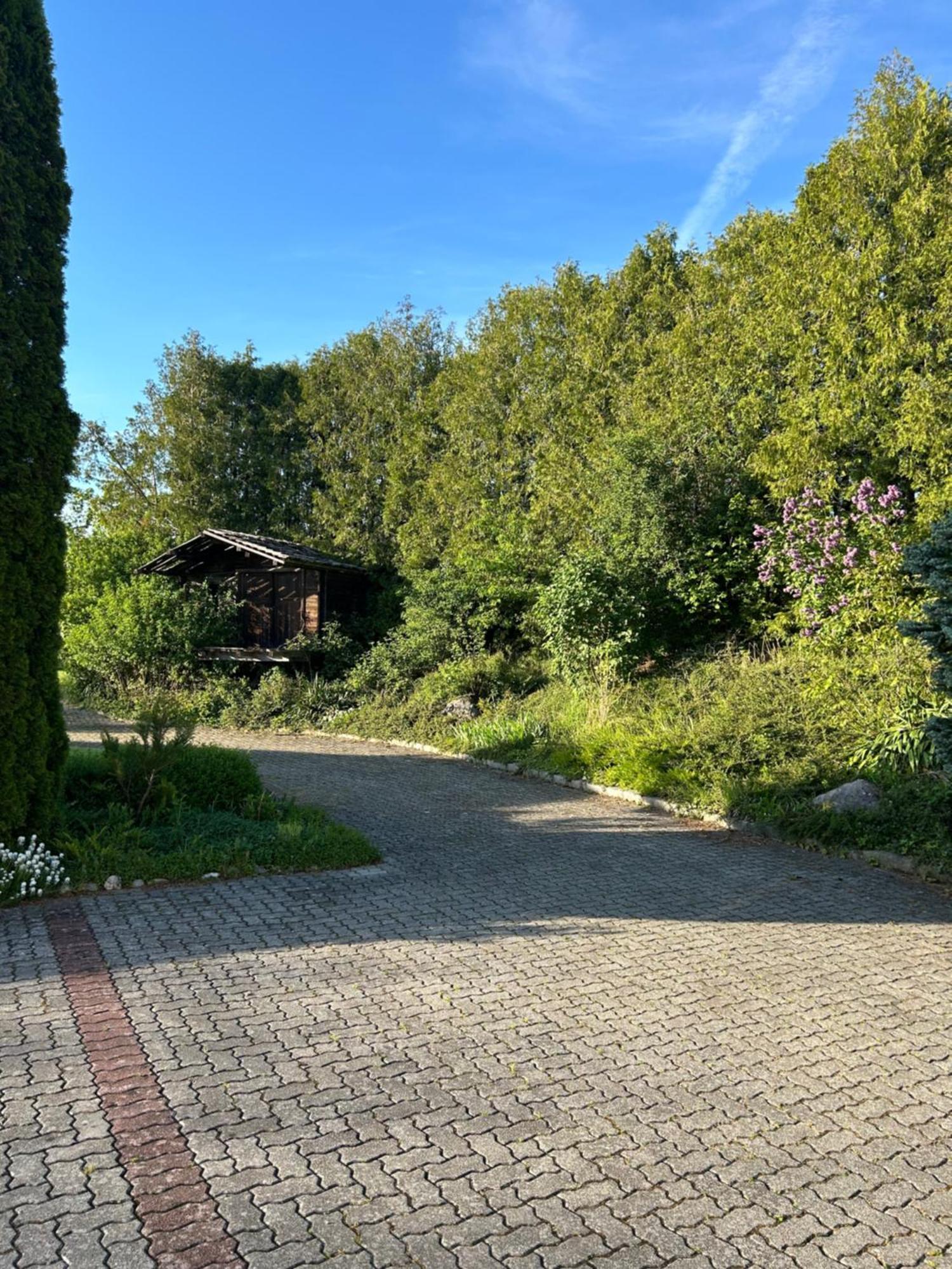 Babsi Appartments - Leben Am Land Вельс Экстерьер фото